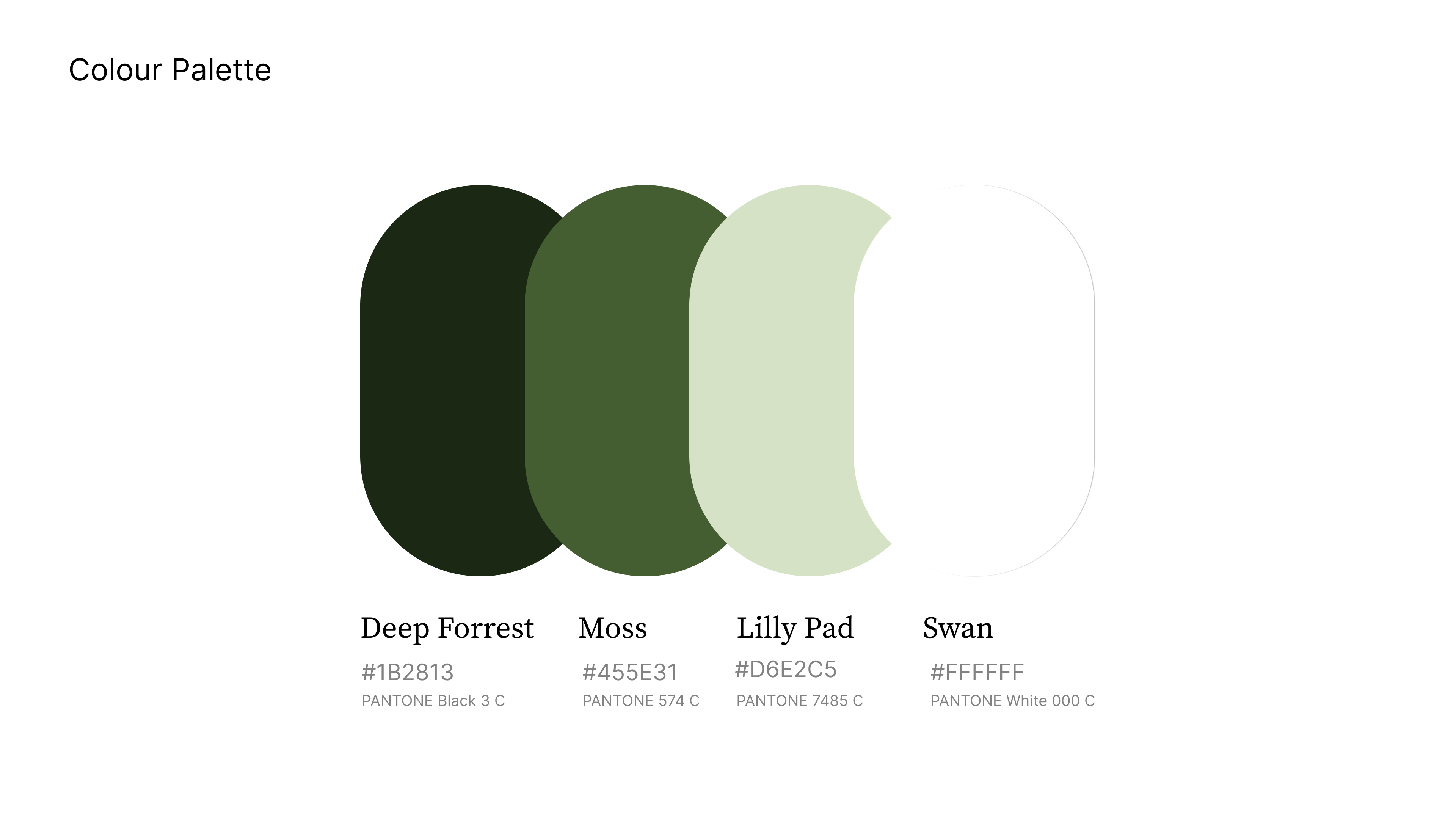 Melbourne Ponds and Gardens colour